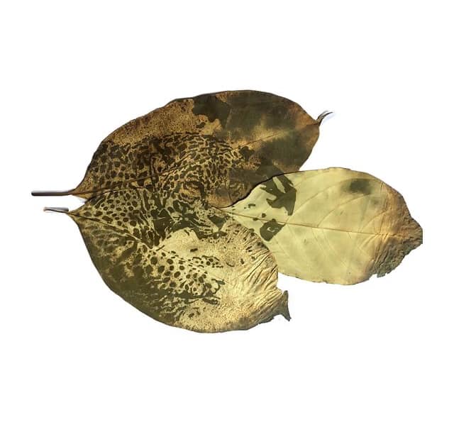 250487701_282360507098997_4458506818462286048_n