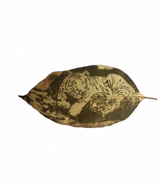 251395878_282360420432339_697209344128072719_n