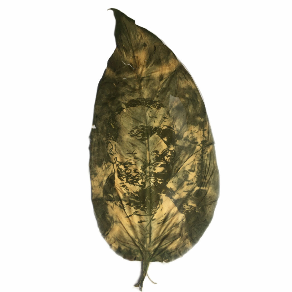 D57EE981-5D14-431E-980A-FBC887BD0F7F (1)