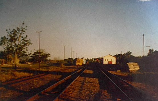 estação 1980