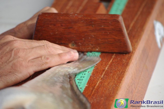 pescar 2014 – medição dos peixes – acervo site rankbrasil