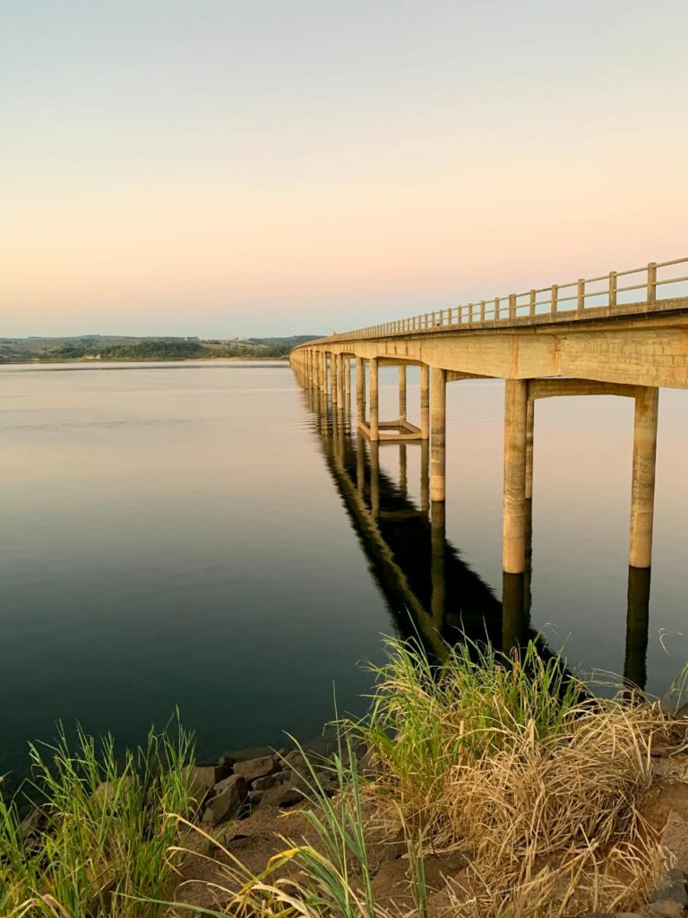 WhatsApp Image 2022-08-09 at 11.45.27