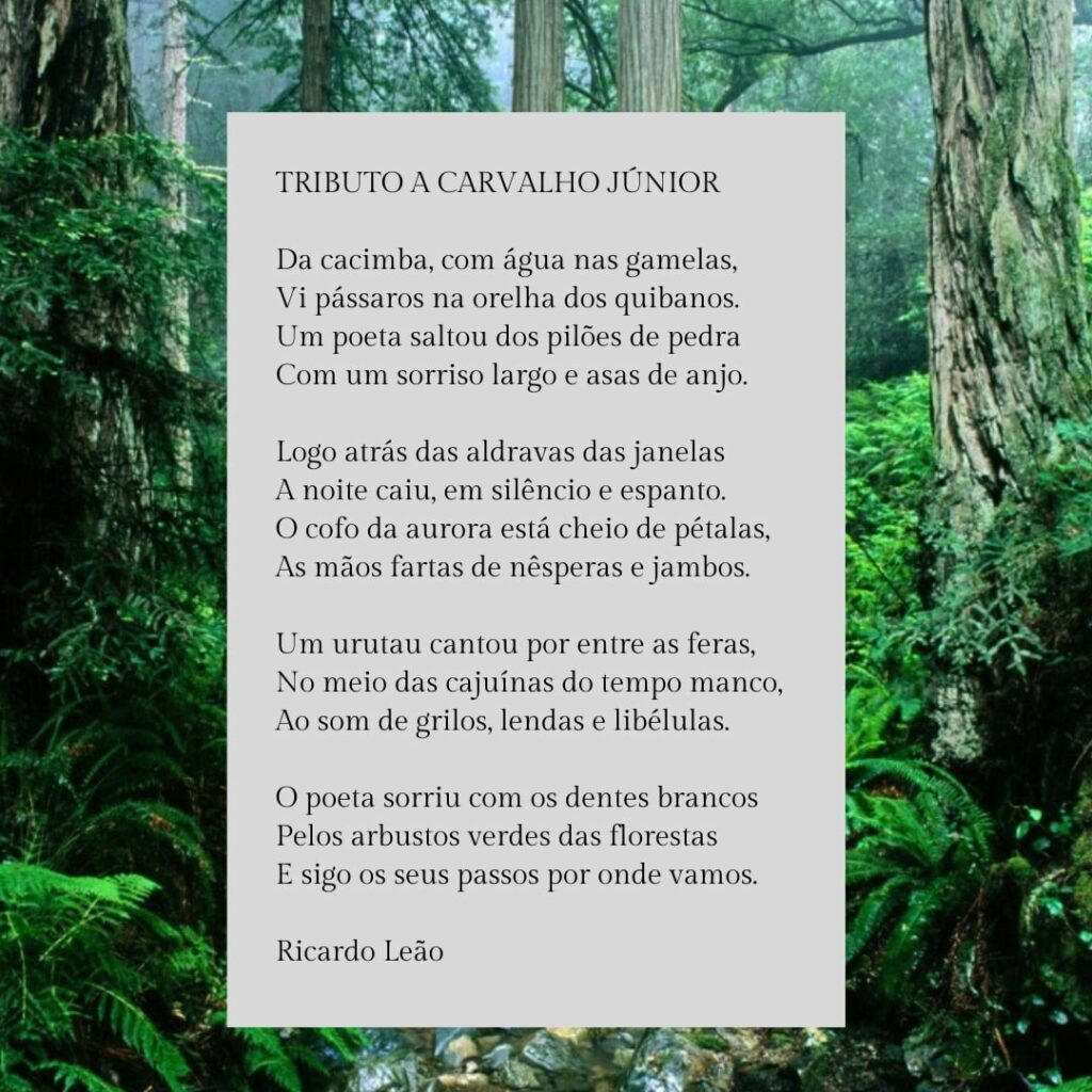 166748813_10208727614263267_2382531529828492894_n