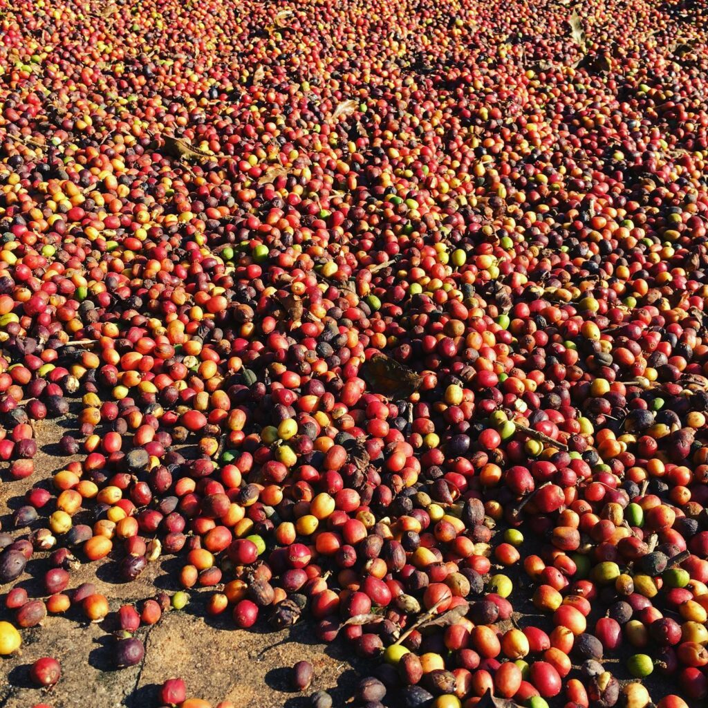 126166522_3567576430005145_3062607904177216908_n