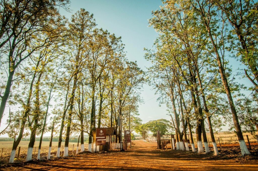 19577083_653617884842255_5305540406419338081_o