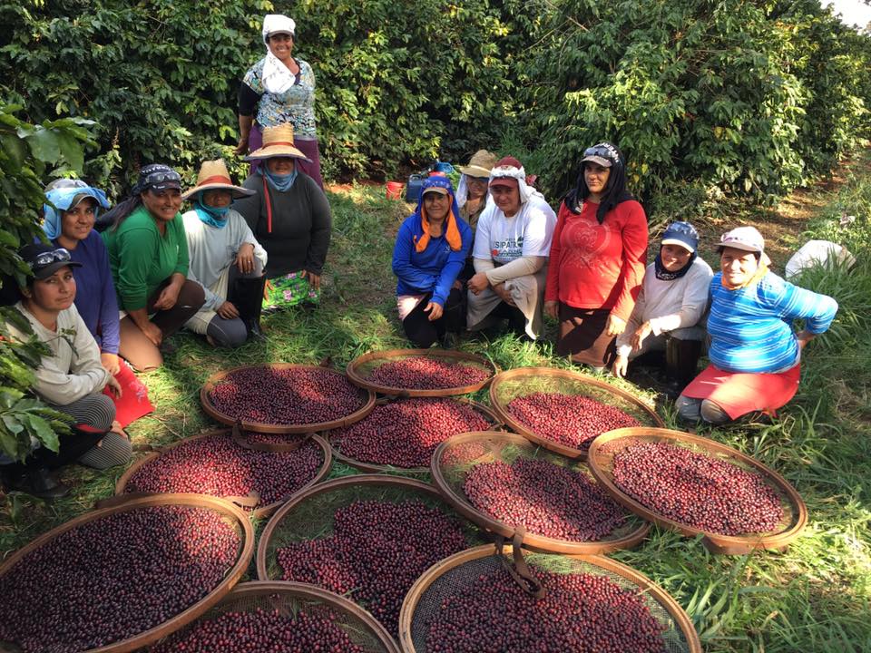 20767887_672903469580363_2311597619675262842_n