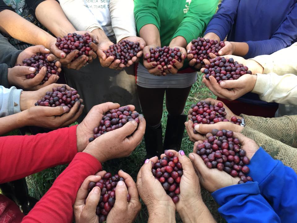 20767915_672903479580362_2858696092975001600_n