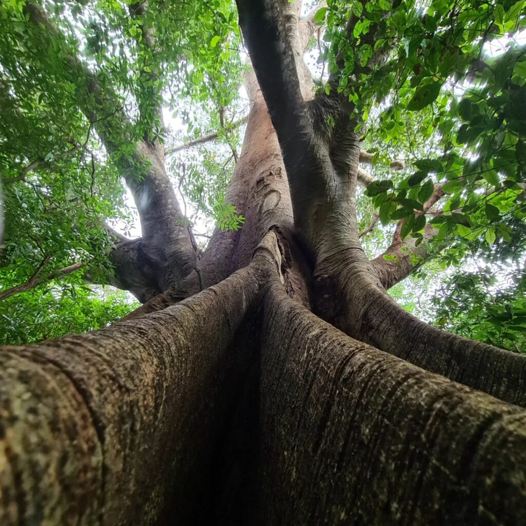 324502488_1117418085586972_7453115890851117598_n