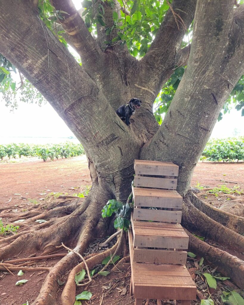 324559286_898074878050589_7637318930617901440_n