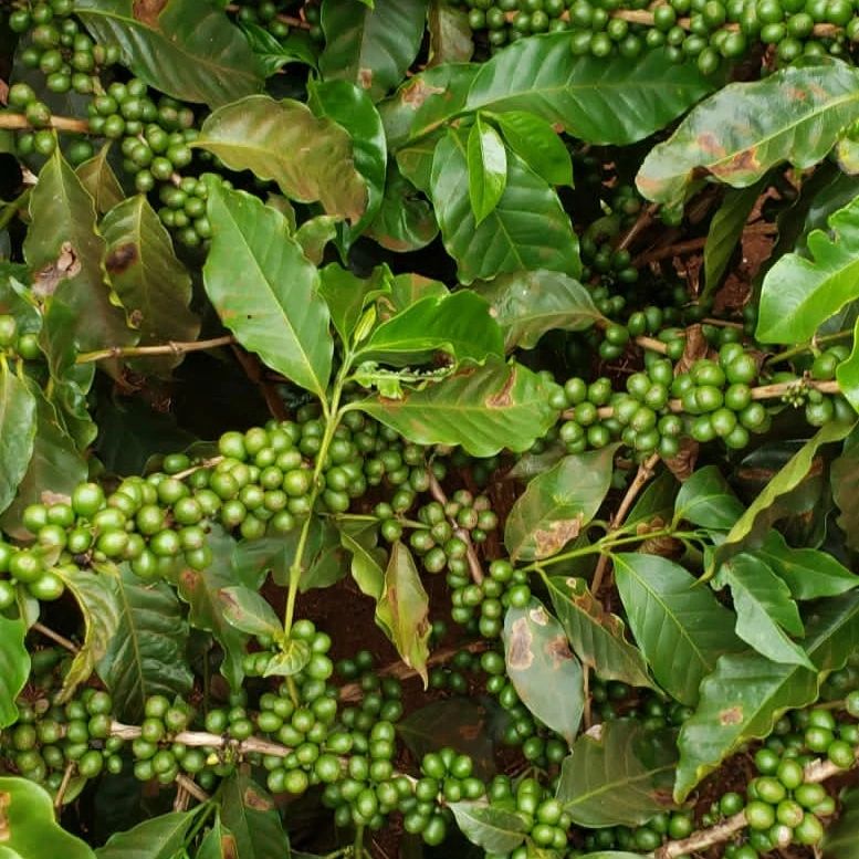 324560493_843874346689050_7335166646237438703_n