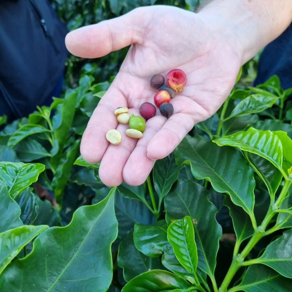 349060667_1333678737496913_1883945615406214513_n