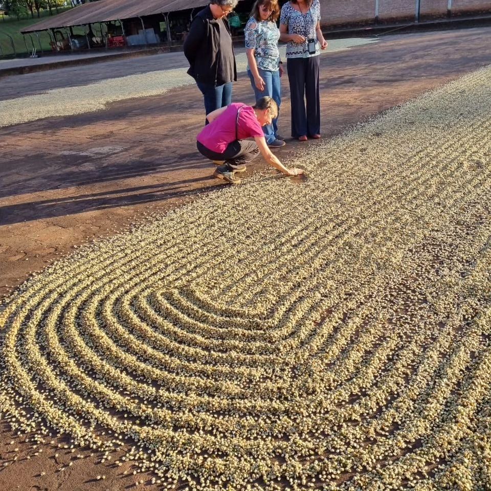 349114519_575798501096238_2813080583327458781_n