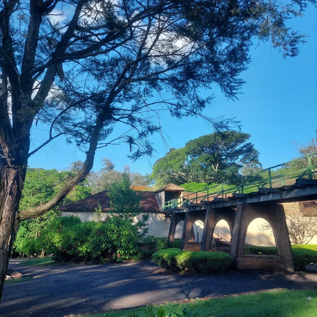 393804150_726558552844878_6175428013164161372_n