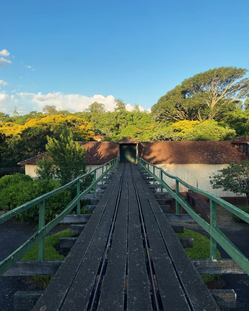 412929979_18299458180179155_3260618217049857003_n