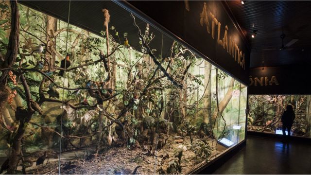 _91218594_ranalli_bbc-3