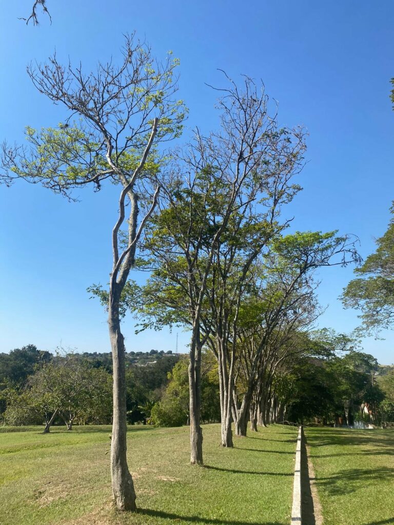 9c4ff419-88d9-430b-b3ce-97af2ca6fcf0