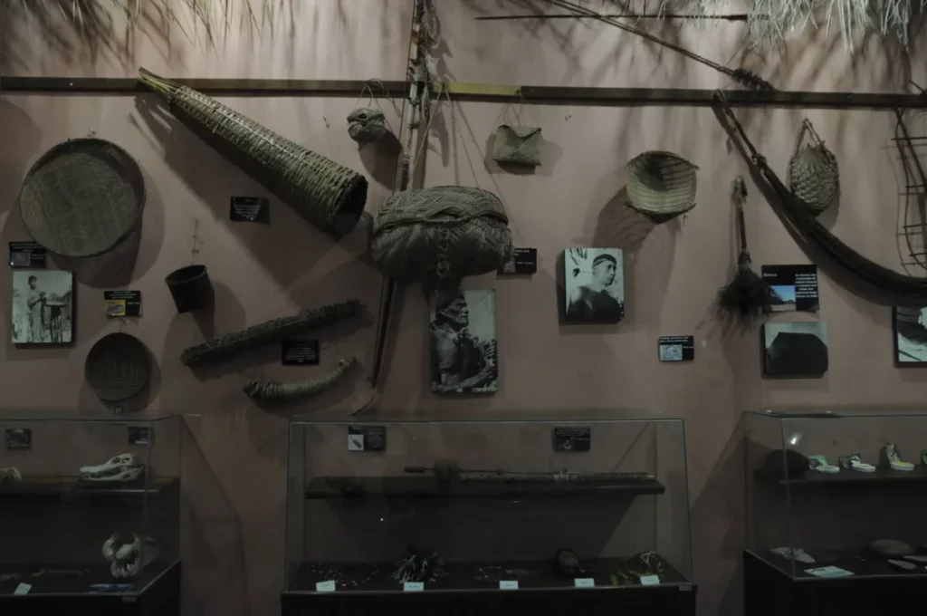 Estacao-da-natureza-em-Cornelio-Procopio0299318402202005270721