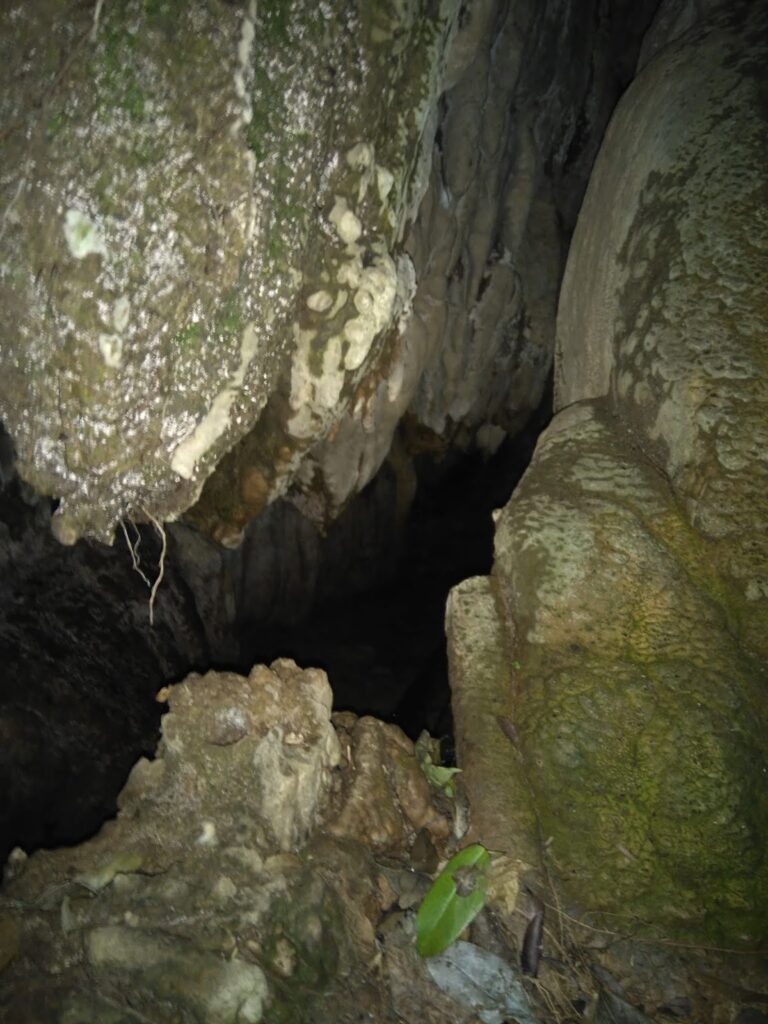 Gruta Vertosa 2