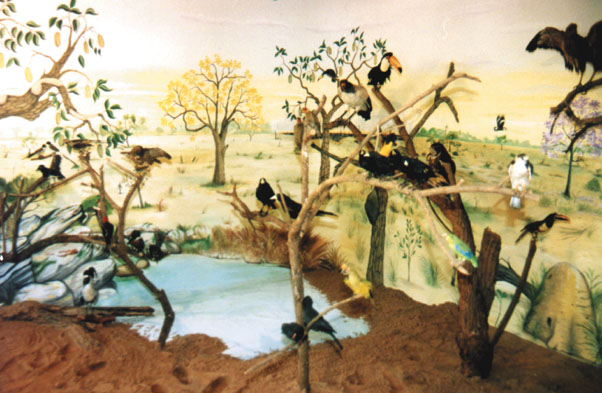 a7bb50da3b744dd08e93405125d60281