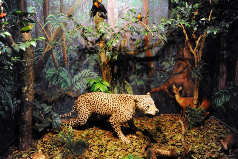 bdc075e8f84bddb0fbf4afcc44ec98c0