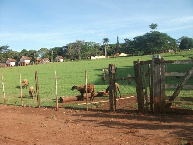 10003985_437084133102819_959365102900673362_n