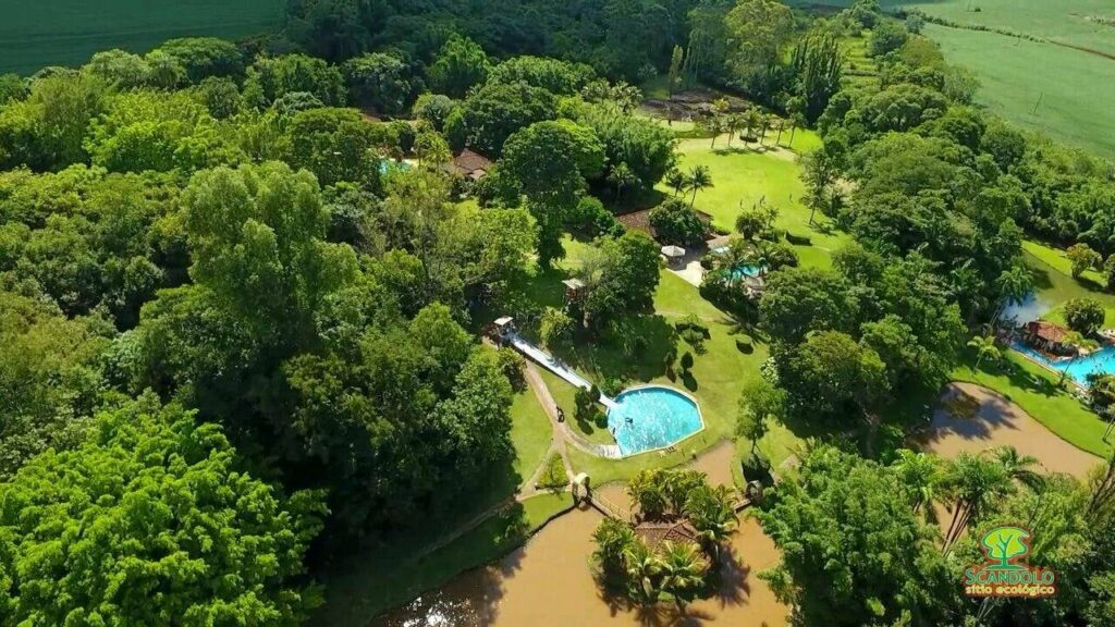 131453292_2441016249540263_7321275878287921105_n