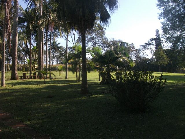 13709911_876829619128266_638586544268399145_n