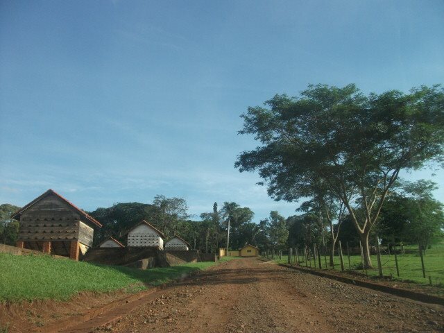 1902842_437083773102855_6900978664032160223_n