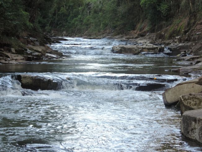 1e429b97c65fd57803ab083bd82d1678