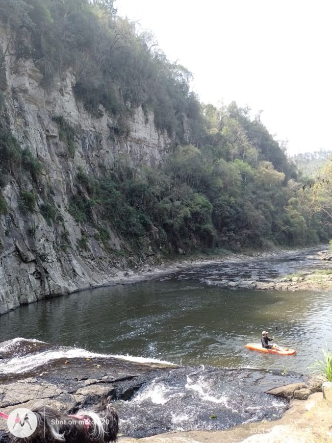 50a1d109d8dab054abe14b3020c1ba2a