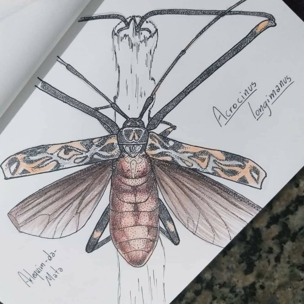 WhatsApp Image 2023-09-19 at 15.02.06