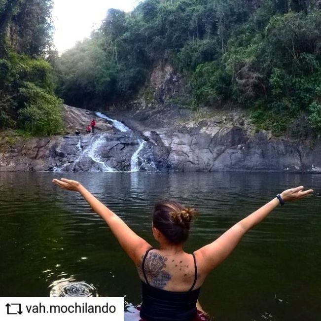 cfa26b57ae86c7fcafd5f6fdf9917a3e