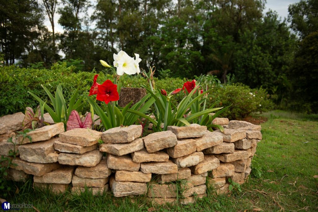 detalhe-do-jardim-das (2)