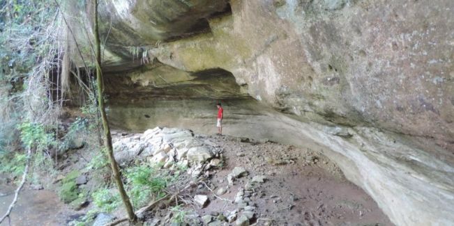 e509b84b248235c27e8de59bdd1788ed