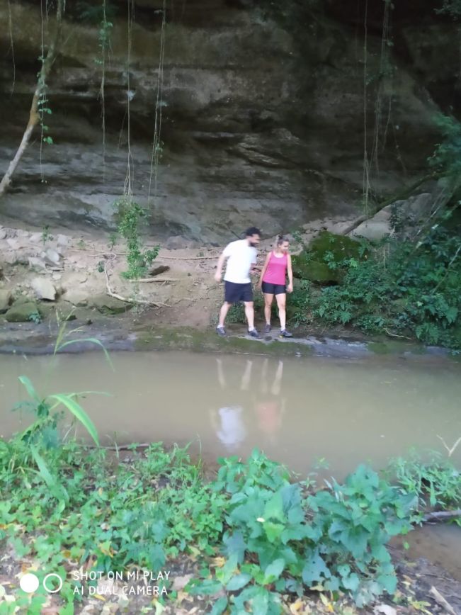 ed2937148273bf34f1b362f4c63168ed