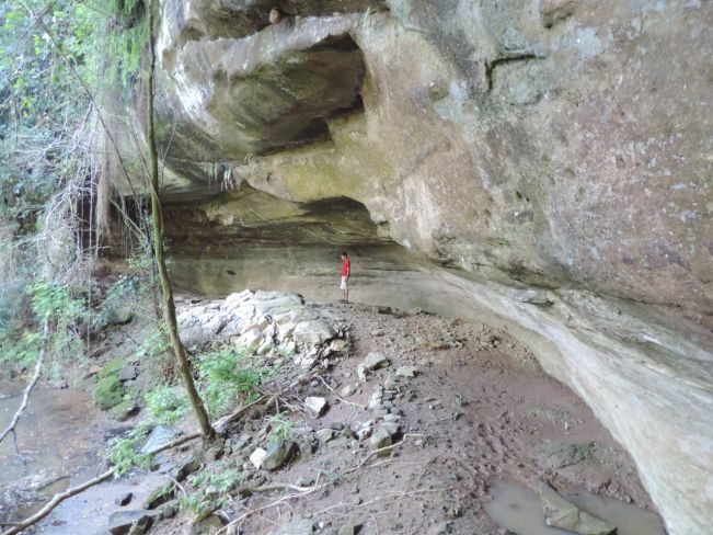 ffbc39c38b51cbcc5333b8dc8cd170c1