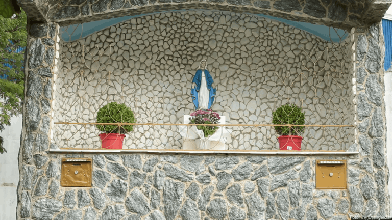 img_NG-PL006-1-768×432