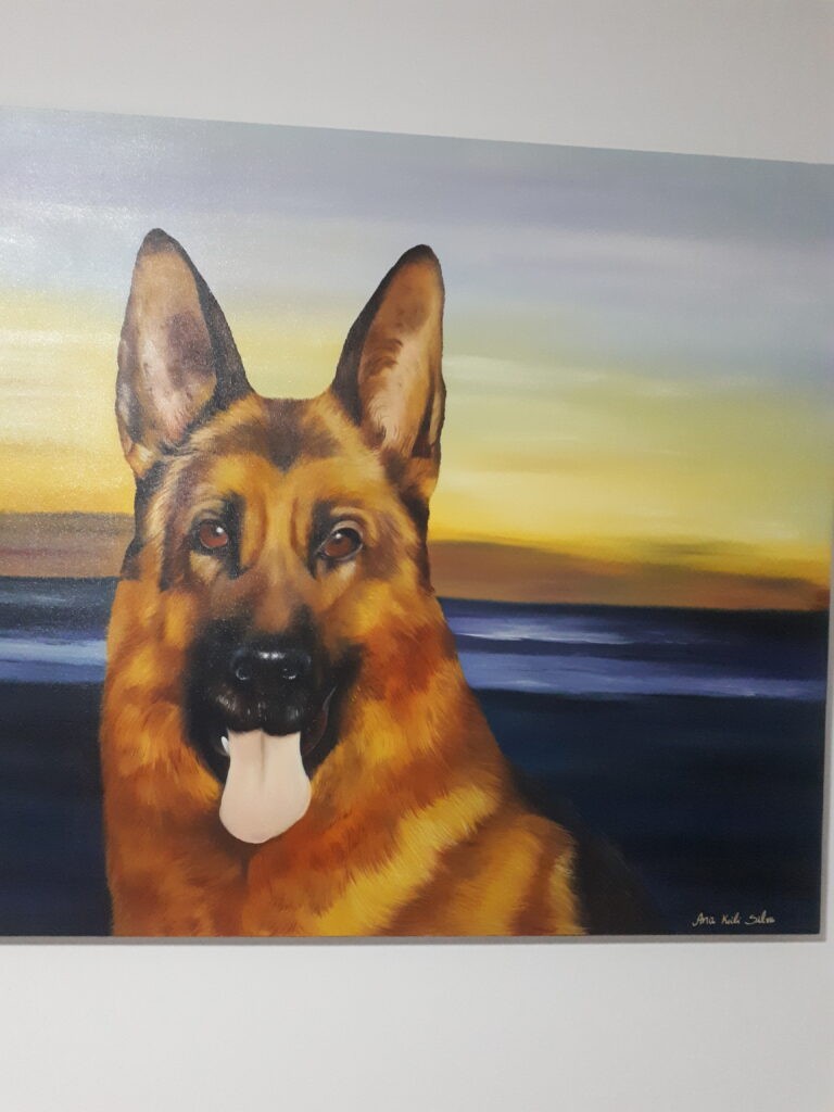 16977494694376357479286824717916 – Ana Silva