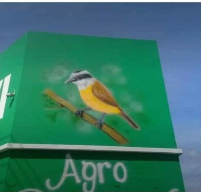 Screenshot_20231017-190644_Facebook – Cris lemes Lemes