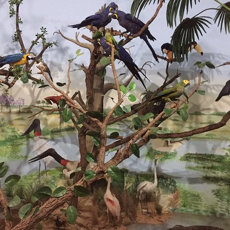 centro-cultural-galdino