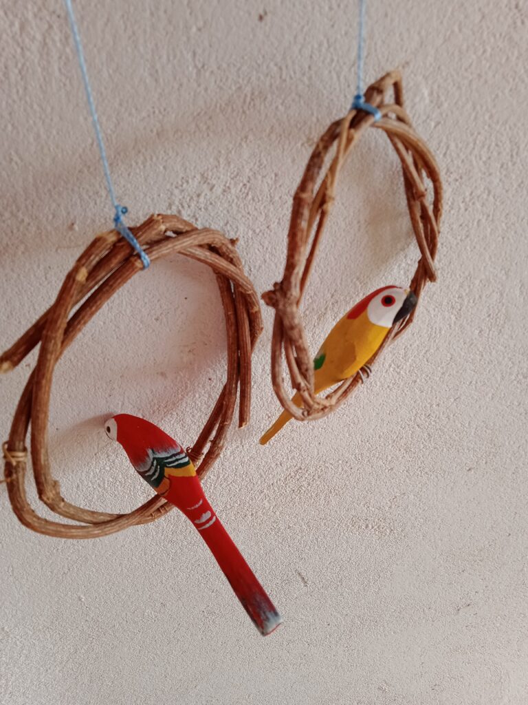 IMG_20250428_124827 – Joao Adriano