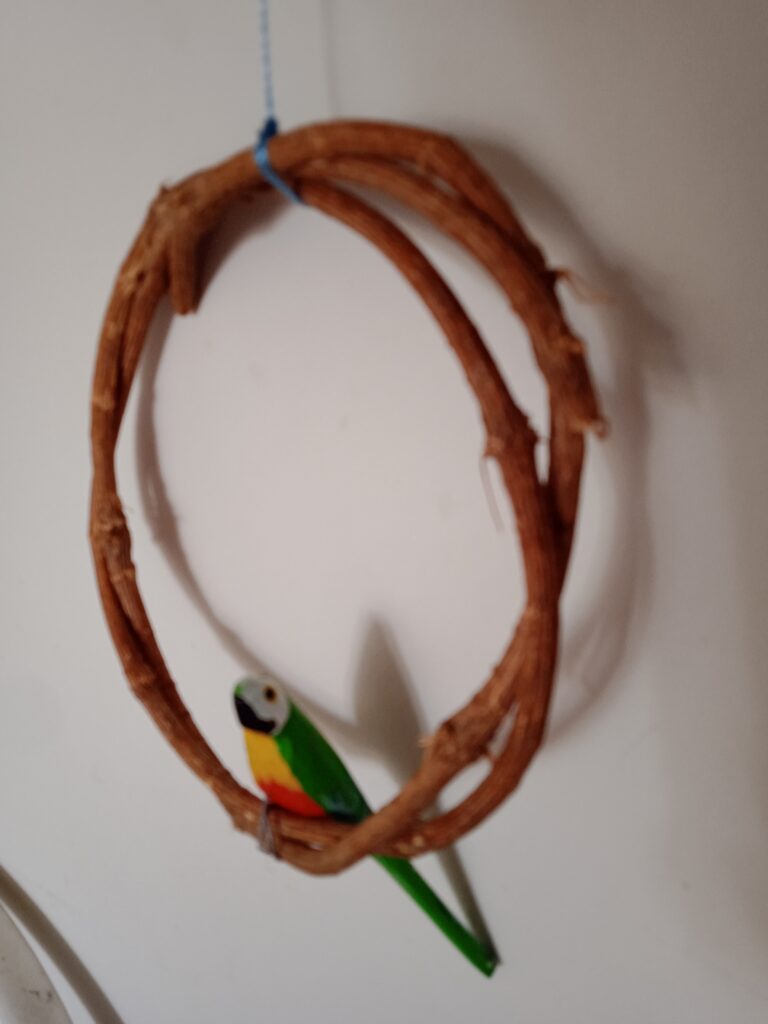 IMG_20250428_124904 – Joao Adriano