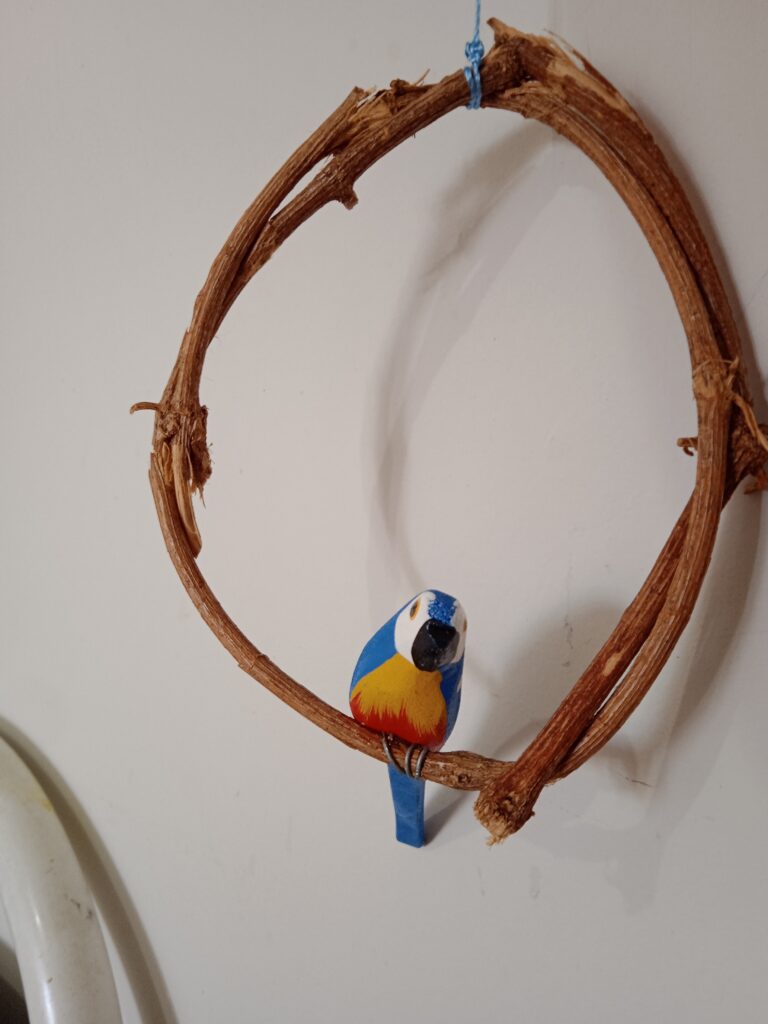 IMG_20250428_125036 – Joao Adriano