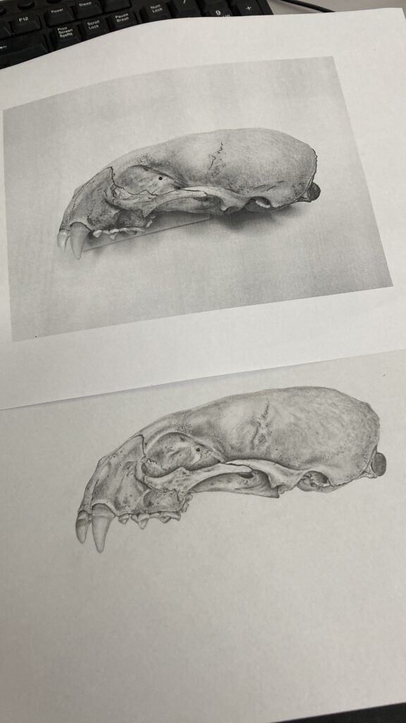 F2282945-CEB2-44A1-A9DD-4B5BE34ABDCF – Inajara Carvalho