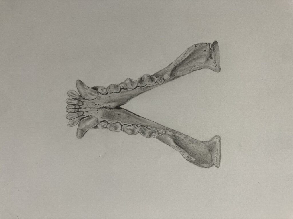 IMG_7577 – Inajara Carvalho