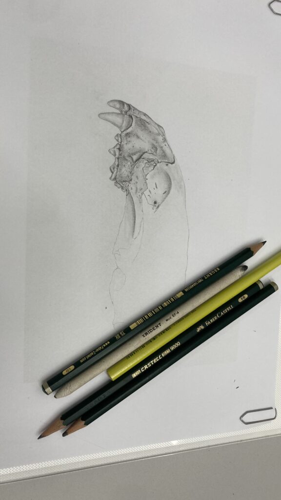 IMG_7827 – Inajara Carvalho