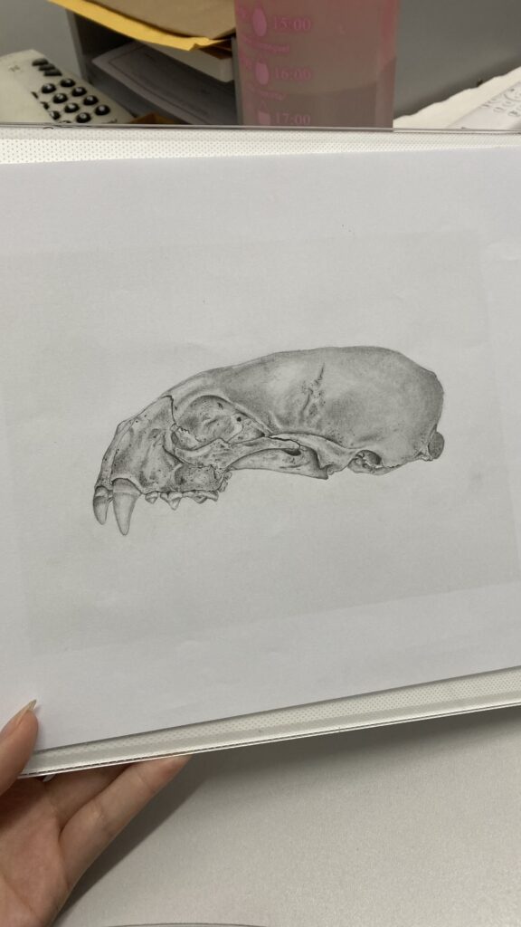 IMG_7848 – Inajara Carvalho