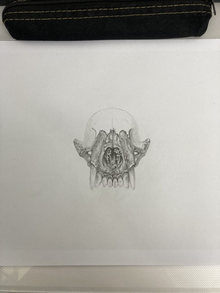 IMG_7888 – Inajara Carvalho