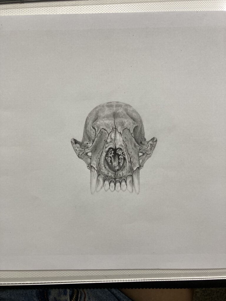 IMG_7892 – Inajara Carvalho